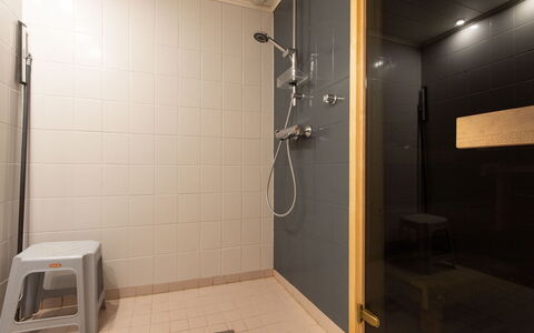 Papanmökki: Gulvbelægning, Badeværelse, Sanitærarmatur, Væg, Etage, Træ, Indretning, Vvs, Loft, Belysning