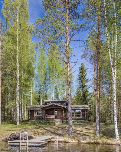 Papanmökki