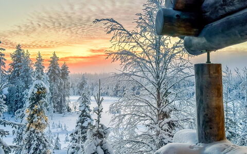 Riekonkätkä: Træ, Sommerhus, Bjælkehytte, Skov, Skur, Garden Bygninger, Lærk, Woodland, Bejdse