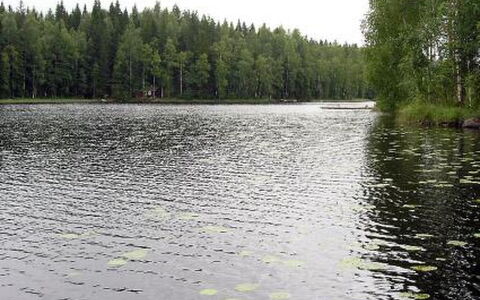 Aurinko: Træ, Sne, Vinter, Sommerhus, Fryser, Hjem, Bjælkehytte, Lærk, Sidespor