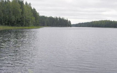 Aurinko: Træ, Sne, Vinter, Sommerhus, Fryser, Hjem, Bjælkehytte, Lærk, Sidespor