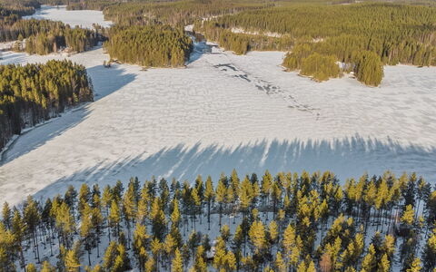 Aittoniemi Ii: Træ, Sne, Vinter, Sommerhus, Fryser, Hjem, Bjælkehytte, Lærk, Sidespor