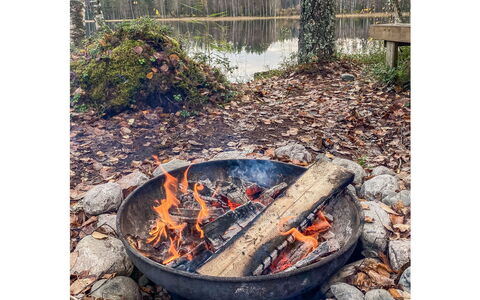 Inkeri: Træ, Sne, Vinter, Sommerhus, Fryser, Hjem, Bjælkehytte, Lærk, Sidespor