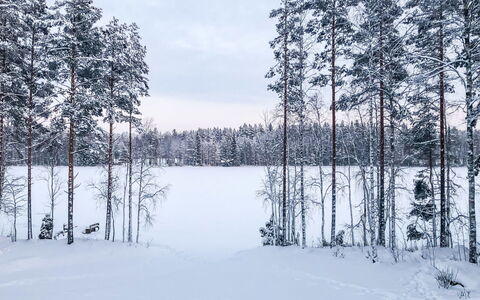 Inkeri: Træ, Sne, Vinter, Sommerhus, Fryser, Hjem, Bjælkehytte, Lærk, Sidespor