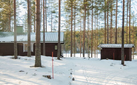 Aittolahti 2: Træ, Sommerhus, Bjælkehytte, Skov, Skur, Garden Bygninger, Lærk, Woodland, Bejdse