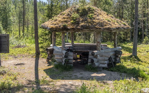 Karhulinna: Træ, Naturligt Miljø, Træ, Plantesamfund, Skov, Ødemark, Woodland, Bagagerum, Lund, Naturreservat