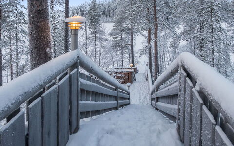 Karhulinna: Træ, Sommerhus, Bjælkehytte, Skov, Skur, Garden Bygninger, Lærk, Woodland, Bejdse