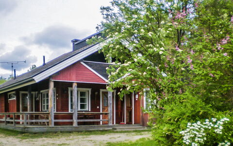 Ettone: Træ, Sne, Vinter, Sommerhus, Fryser, Hjem, Bjælkehytte, Lærk, Sidespor