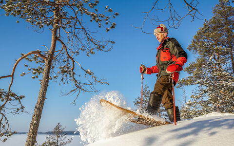 Huljakka: Træ, Sne, Vinter, Sommerhus, Fryser, Hjem, Bjælkehytte, Lærk, Sidespor