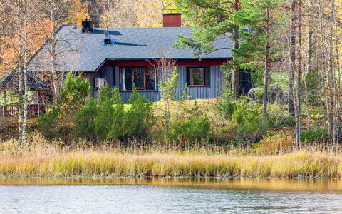 Viehko: Træ, Sommerhus, Bjælkehytte, Skov, Skur, Garden Bygninger, Lærk, Woodland, Bejdse