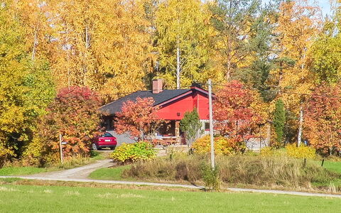 Viehko: Træ, Sommerhus, Bjælkehytte, Skov, Skur, Garden Bygninger, Lærk, Woodland, Bejdse
