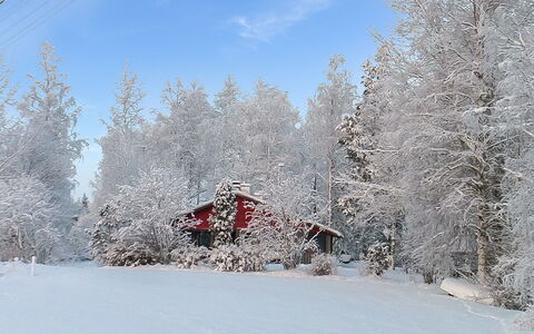Viehko: Træ, Sommerhus, Bjælkehytte, Skov, Skur, Garden Bygninger, Lærk, Woodland, Bejdse