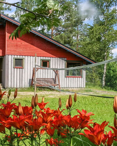 Viehko