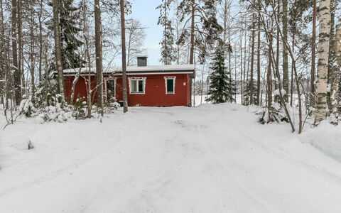 Taimisto: Træ, Vinter, Sne, Hjem, Sommerhus, Fryser, Sidespor, Bjælkehytte, Is