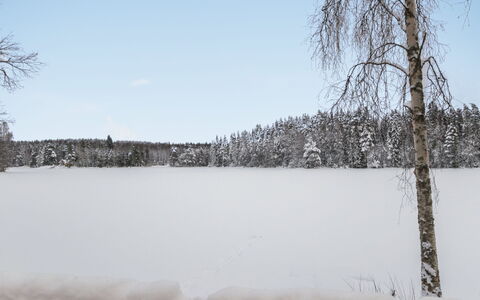 Lepikko: Træ, Hus, Sne, Sommerhus, Hjem, Vinter, Tag, Fryser, Sidespor, Hældning