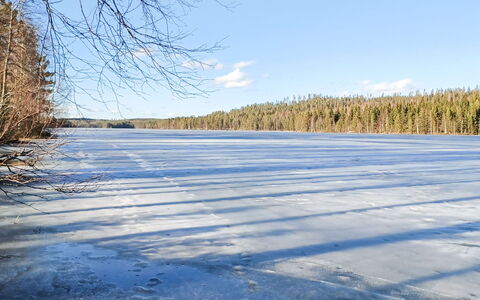 Pellervo: Blå, Naturligt Miljø, Natur, Naturlige Landskab, Vinter, Landskab, Ødemark, Fryser, Sne, Skov