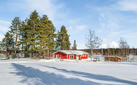 Ellilä: Træ, Sne, Vinter, Træ, Afdeling, Tag, Sommerhus, Hus, Hjem, Fryser