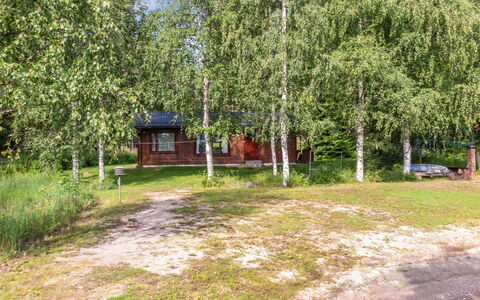 Pikkupuro: Træ, Sommerhus, Bjælkehytte, Skov, Skur, Garden Bygninger, Lærk, Woodland, Bejdse