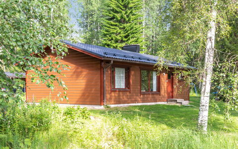 Pikkupuro: Træ, Sommerhus, Bjælkehytte, Skov, Skur, Garden Bygninger, Lærk, Woodland, Bejdse