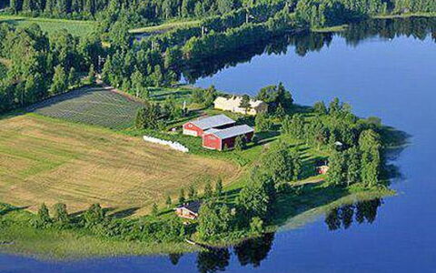 Koivuniemi: Træ, Vinter, Sne, Hjem, Sommerhus, Fryser, Sidespor, Bjælkehytte, Is