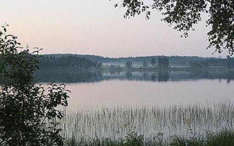 Koivuniemi: Træ, Vinter, Sne, Hjem, Sommerhus, Fryser, Sidespor, Bjælkehytte, Is