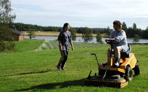 Koivuniemi: Træ, Vinter, Sne, Hjem, Sommerhus, Fryser, Sidespor, Bjælkehytte, Is