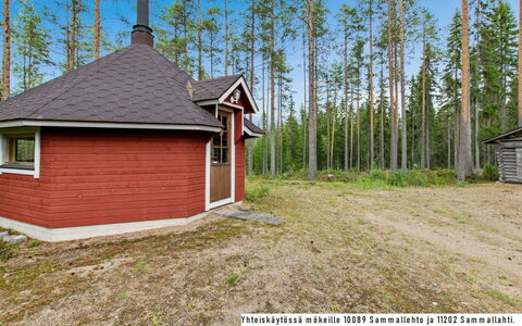 Sammallehto: Træ, Sommerhus, Bjælkehytte, Skov, Skur, Garden Bygninger, Lærk, Woodland, Bejdse