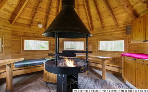 Sammallehto: Træ, Sommerhus, Bjælkehytte, Skov, Skur, Garden Bygninger, Lærk, Woodland, Bejdse