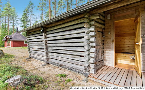 Sammallehto: Træ, Sommerhus, Bjælkehytte, Skov, Skur, Garden Bygninger, Lærk, Woodland, Bejdse