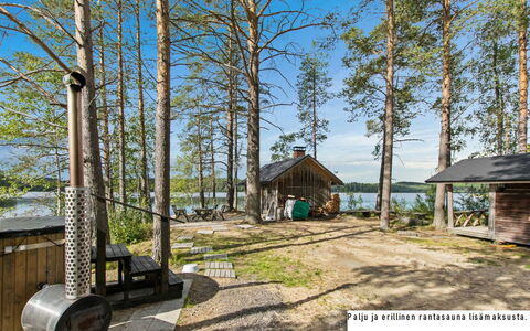 Sammallehto: Træ, Sommerhus, Bjælkehytte, Skov, Skur, Garden Bygninger, Lærk, Woodland, Bejdse