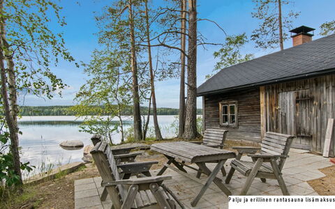 Sammallehto: Træ, Sommerhus, Bjælkehytte, Skov, Skur, Garden Bygninger, Lærk, Woodland, Bejdse