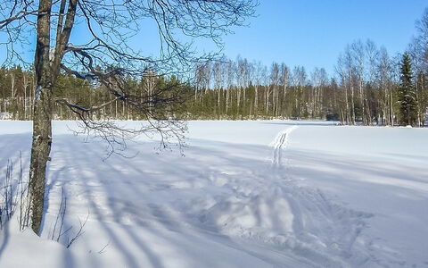 2234: Træ, Sne, Vinter, Sommerhus, Fryser, Hjem, Bjælkehytte, Lærk, Sidespor