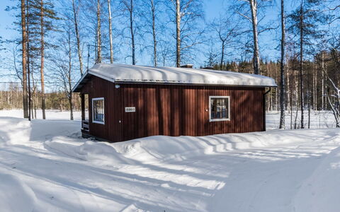 2234: Træ, Sne, Vinter, Sommerhus, Fryser, Hjem, Bjælkehytte, Lærk, Sidespor
