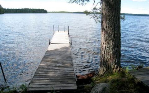 6309: Træ, Sommerhus, Bjælkehytte, Skov, Skur, Garden Bygninger, Lærk, Woodland, Bejdse