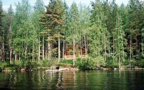 5816: Vand, Vandressourcer, Krop Af Vand, Træ, Naturligt Miljø, Natur, Vandvej, Skov, Bank, Vandløb