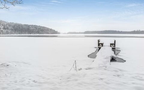 Hepolehto: Træ, Sommerhus, Bjælkehytte, Skov, Skur, Garden Bygninger, Lærk, Woodland, Bejdse