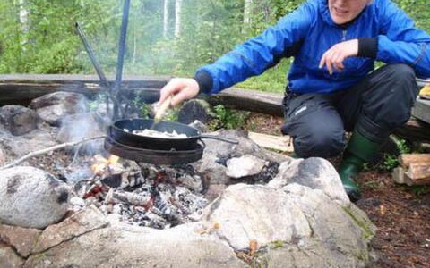 Vaaran Loma-Asunto: Træ, Sommerhus, Bjælkehytte, Skov, Skur, Garden Bygninger, Lærk, Woodland, Bejdse