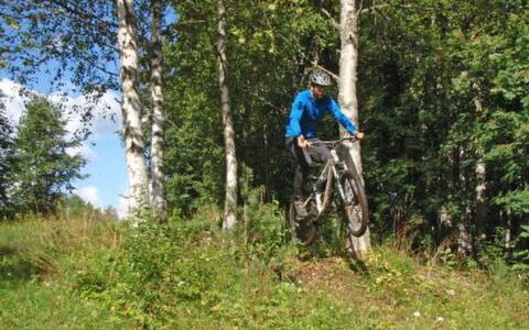 Vaaran Loma-Asunto: Træ, Sommerhus, Bjælkehytte, Skov, Skur, Garden Bygninger, Lærk, Woodland, Bejdse