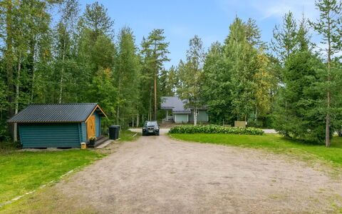 Linnanhelmi (Ent. Metsäpeura): Træ, Sne, Vinter, Sommerhus, Fryser, Hjem, Bjælkehytte, Lærk, Sidespor