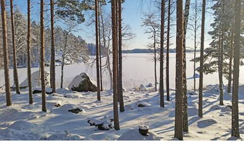 Rihka: Sommerhus, Hus, Hjem, Garden Bygninger, Sidespor, Bjælkehytte, Stuehus, Estate, Skur, Gård