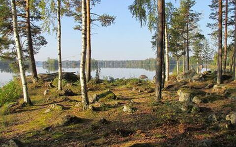 Rihka: Sommerhus, Hus, Hjem, Garden Bygninger, Sidespor, Bjælkehytte, Stuehus, Estate, Skur, Gård