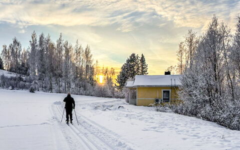 Pikku-Puntila: Sne, Vinter, Træ, Fryser, Morgen, Hældning, Lærk, Is, Aften, Frost