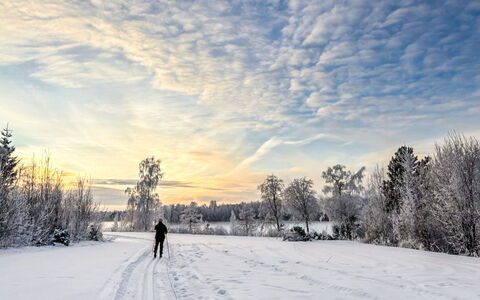 Pikku-Puntila: Himmel, Sne, Vinter, Afdeling, Sky, Fryser, Fritid, Sollys, Solopgang, Morgen