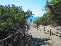 Marina Di Bibbona 150