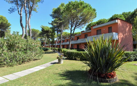 Bibione 380: Plante, Himmel, Daytime, Plantesamfund, Træ, Blad, Land Lot, Skygge, Arecales, Naturlige Landskab
