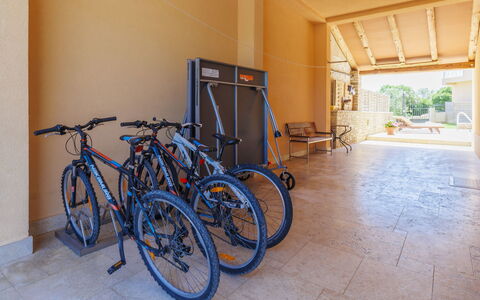 Licardo: Cykel, Hjul, Bygning, Cykelhjul