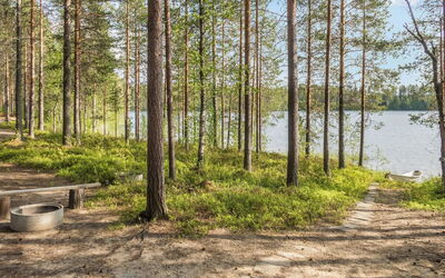 Puolukka