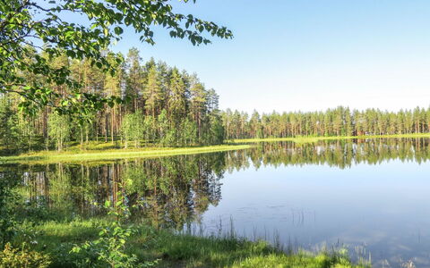 Karpalo: Tag, Busk, Hus, Hjem, Sommerhus, Land Lot, Bunddække, Have, Estate