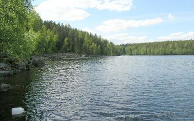 Lomakuikka