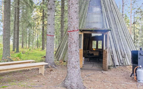 Niemenkärki, Vaikon Loma 8: Træ, Sommerhus, Bjælkehytte, Skov, Skur, Garden Bygninger, Lærk, Woodland, Bejdse